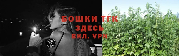 дживик Беломорск