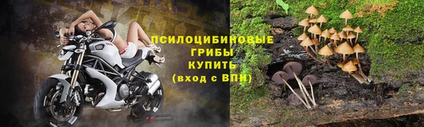 тгк Белоозёрский