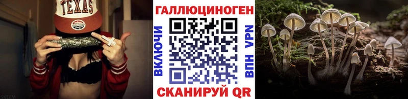 купить наркоту  hydra ссылка  Псилоцибиновые грибы Cubensis  Павловск 